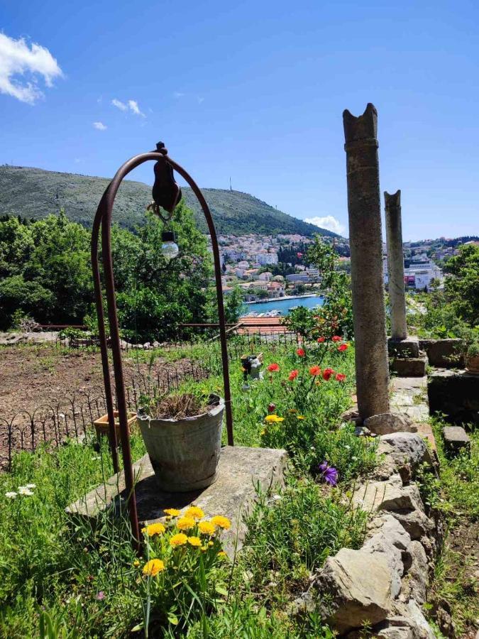 Peaceful House In Dubrovnik Apartment Екстериор снимка